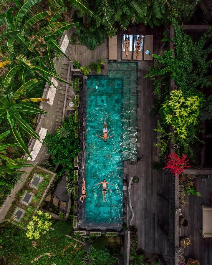 Dragon House - Your Dream House In Bali! Ubud Dış mekan fotoğraf